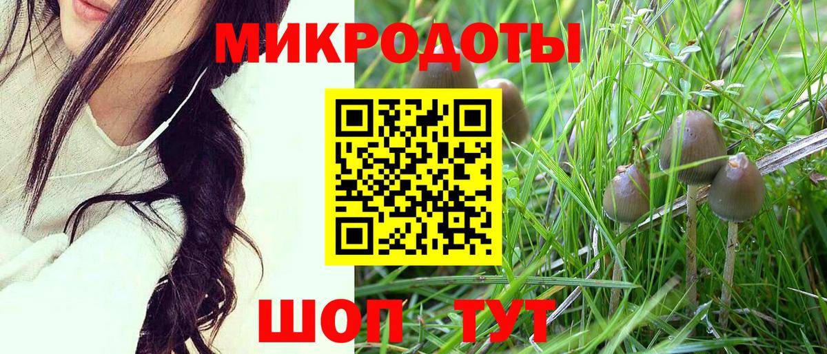 Галлюциногенные грибы GOLDEN TEACHER  Вход с VPN  Горно-Алтайск 