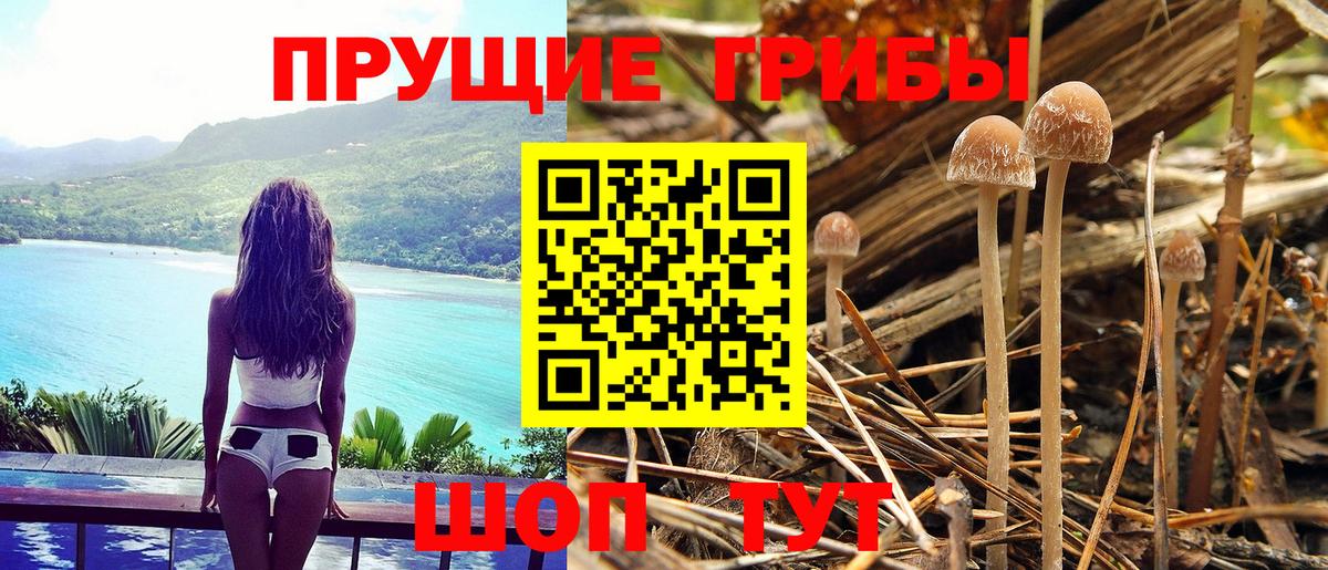 ГАШИШ  Каннабис  APVP СОЛЬ кристаллы  COCAIN  Вход с VPN  Горно-Алтайск  Меф МЯУ МЯУ   ЭКСТАЗИ 