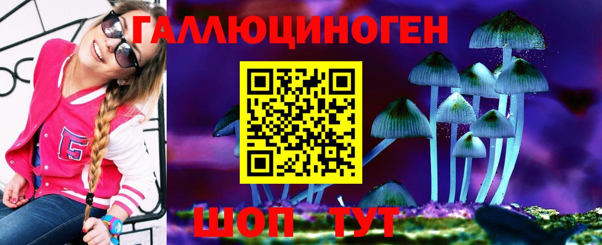 Псилоцибиновые грибы Psilocybine cubensis Горно-Алтайск